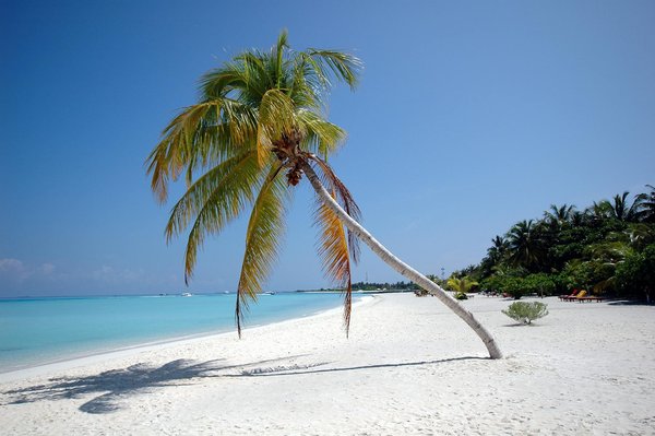 Comment organiser une croisière pour explorer les grottes calcaires en Malaisie?